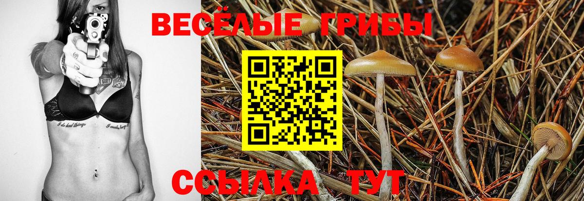 Псилоцибиновые грибы мицелий Электросталь